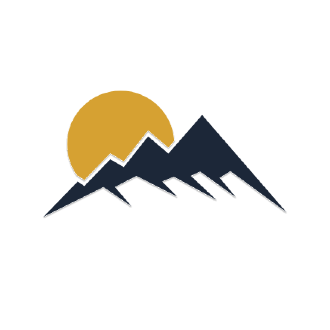 Intentional Holdings